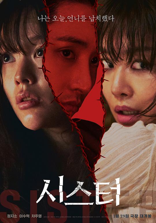 姐妹2026